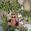 ���� �������, ������������ - ��������� 12 ����� 2014