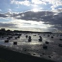 Poole Harbour    