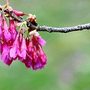 ���� ������, �����-���������, 61 ��� - ��������� 10 ����� 2014 � ������ ��������� ������, ������ 2012�