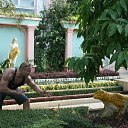  , -, 50  -  11  2014    2013