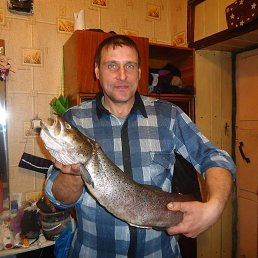 ���� ��������, ����������, 55 ��� - ��������� 8 ������ 2013