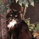 ���� ����, ������� - ��������� 2 ������� 2013 � ������ ���� ����������