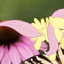 ���� �����, ������ - ��������� 13 ������� 2013 � ������ ���� ����������