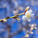 ���� ������, �����������, 67 ��� - ��������� 21 ������� 2014 � ������ �������� �������� ��������