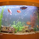 ���� �����, ������-��-����, 41 ��� - ��������� 27 ������� 2013 � ������ ���� ������....�