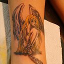  , , 42  -  25  2013   tatu