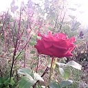 ���� �������, �����-��������� - ��������� 15 ������� 2013 � ������ ���� ������