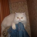 ���� Vladimir, ���������, 67 ��� - ��������� 12 ������� 2013 � ������ ������� �1�