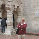 ���� �����, ���������, 46 ��� - ��������� 23 ������ 2014 � ������ ���� ����������