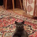 ....���������� ����)))))))))
