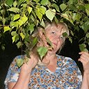 ���� �������, ����������, 64 ���� - ��������� 15 �������� 2013 � ������ ���� ����������