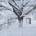 ���� ����, ��������, 49 ��� - ��������� 1 ������� 2014 � ������ ������ ��������