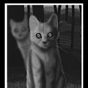 �������� �� ������� ����� �������