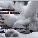 ���� ����, ������, 43 ���� - ��������� 10 ������ 2013 � ������ ���� ����������