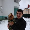   ))    2013