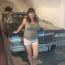 ���� �����, �����-���������, 52 ���� - ��������� 8 ����� 2014 � ������ ���� ����������