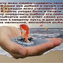���� �����, ������-��-���� - ��������� 5 ������� 2014 � ������ ���� ����������