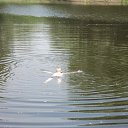 ���� ������, ������, 58 ��� - ��������� 21 ������� 2013 � ������ ���� ����������