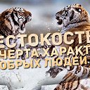 ���� �������, �����������, 42 ���� - ��������� 25 ������� 2013 � ������ ���� ����������