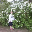 Vjarske �� ������� ���� ����������