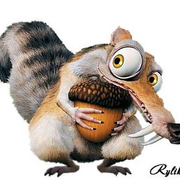 ���, ���������, 22 ����