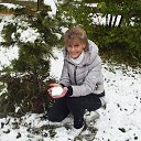 ���� �����, �����, 60 ��� - ��������� 18 ������� 2013 � ������ ���� ����������