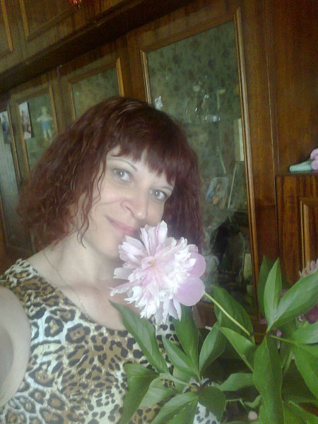  :  -  , 55 , 