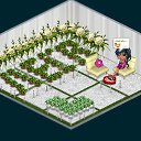 ���� ~������������~, ����������� - ��������� 23 �������� 2013 � ������ �Tropikania�