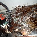 ��������� �� ������ �� ������� ������ 2014 ���