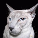 ���� �����, ��������, 45 ��� - ��������� 13 �������� 2013 � ������ ���� ����������