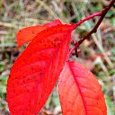 ���� �����, �����, 64 ���� - ��������� 30 ������ 2013 � ������ ��Ψ�