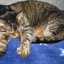 ���� ������, ������, 65 ��� - ��������� 22 �������� 2013 � ������ ���� ����������