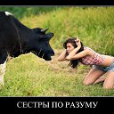 ���� �����, ���������, 46 ��� - ��������� 10 ������� 2014 � ������ ������