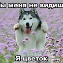 �������� �������� �� ������� ���� ����������