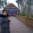 ���� ����, ������ - ��������� 23 ������ 2014 � ������ ������