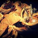 ���� Nata Li Legata, ��������� - ��������� 8 ������� 2013 � ������ ������.�