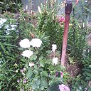 ���� ������, ������������, 48 ��� - ��������� 4 ������� 2013 � ������ ���� ����������