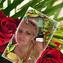 ���� �������, ���������� - ��������� 10 ������ 2013 � ������ ���� ����������