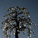 ���� �����, �����, 64 ���� - ��������� 20 ������� 2014 � ������ ���� ��������߻