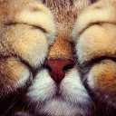 ���� �����, ������, 27 ��� - ��������� 26 ������� 2014 � ������ ���� ����������