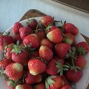 ���� �������, �����-��������� - ��������� 21 ������� 2013 � ������ ���� ����������