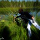  Nata Li Legata,  -  12  2013   ,  )