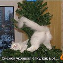 ���� ������, ������, 70 ��� - ��������� 21 ������ 2014 � ������ ������ ��������