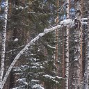 ����� �������� �� ������� ������� ���2014�