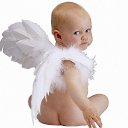  , , 38  -  26  2013    ....