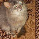 � ��� �������� �������� ������. ������� - �������. �� ������� ���� ���� � ������ ��������