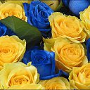 ���� Galinka, �������, 48 ��� - ��������� 10 ����� 2014 � ������ ������ ��������