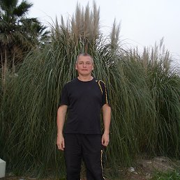 ���� �������, ����, 61 ��� - ��������� 13 �������� 2013