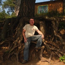 ������, ����, 44 ����