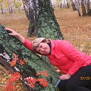 ���� �������, �����������, 41 ��� - ��������� 18 ������� 2013 � ������ ���� ����������